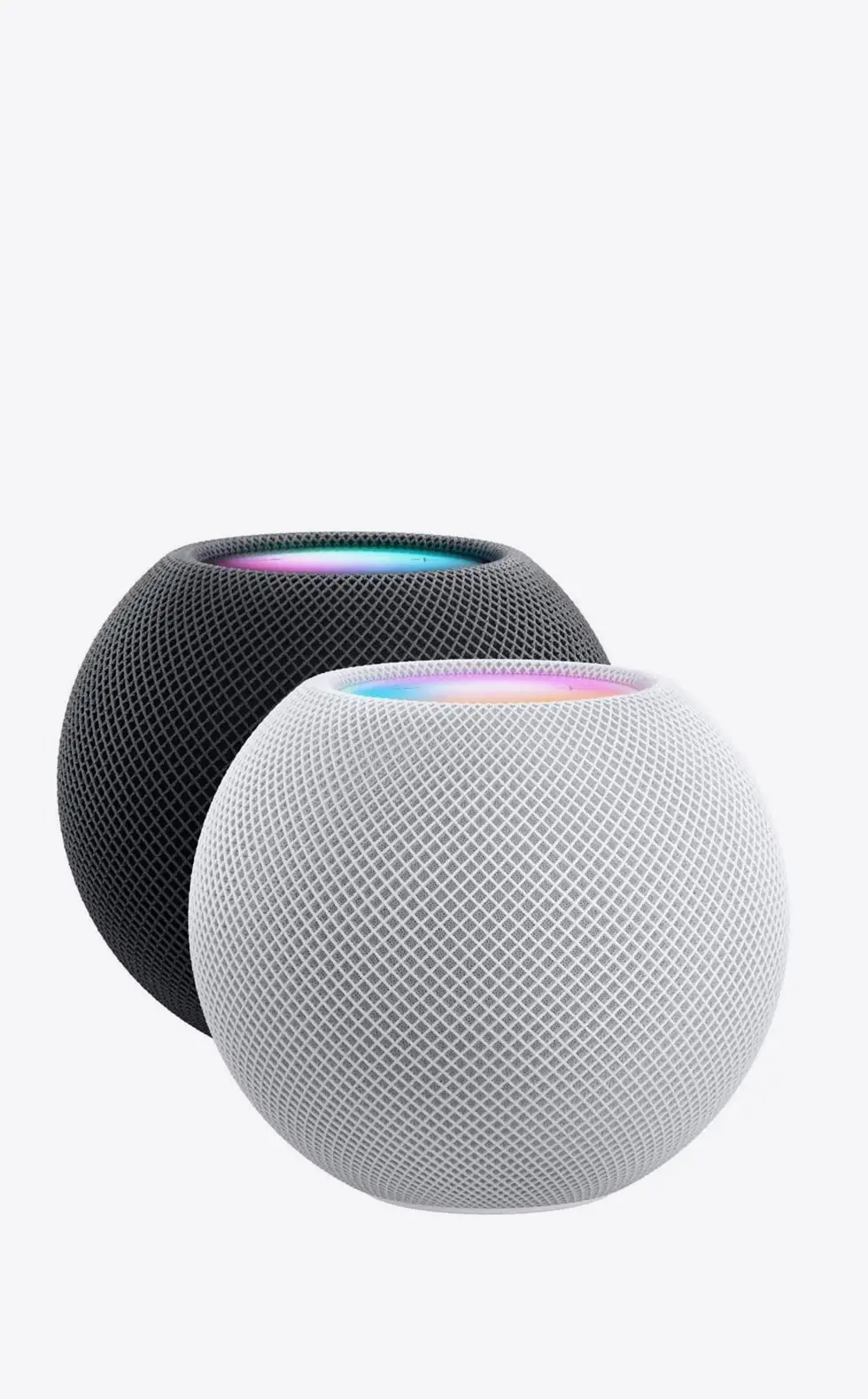 پرطرفدار ترین